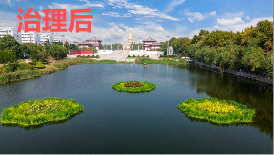 图片6.png 图片6.png